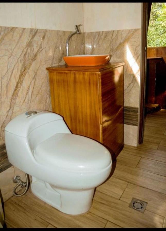 Caiman Lodge - Cuyabeno Nature Amazon Tour Εξωτερικό φωτογραφία