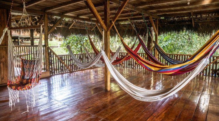 Caiman Lodge - Cuyabeno Nature Amazon Tour Εξωτερικό φωτογραφία