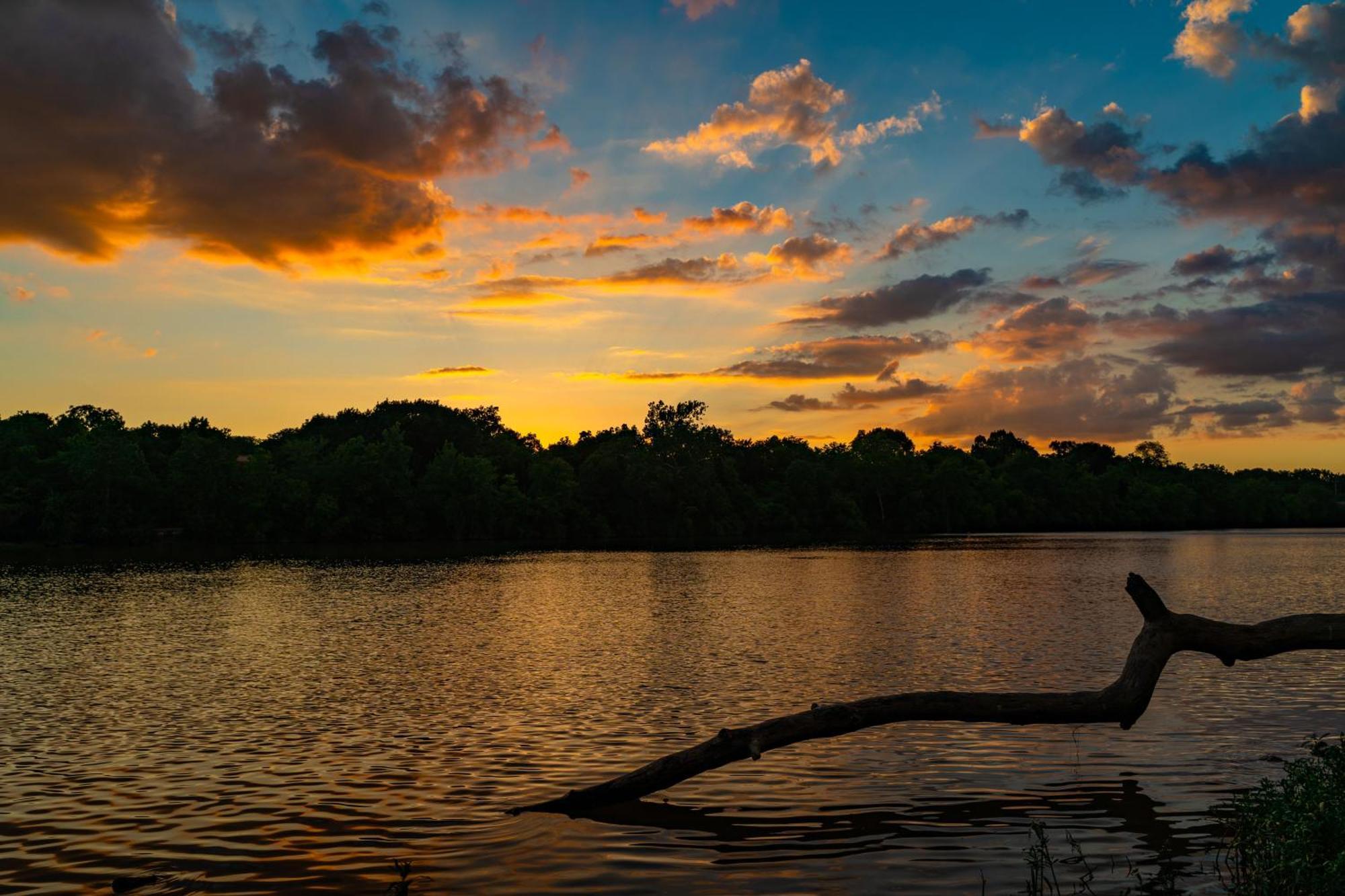 Caiman Lodge - Cuyabeno Nature Amazon Tour Εξωτερικό φωτογραφία