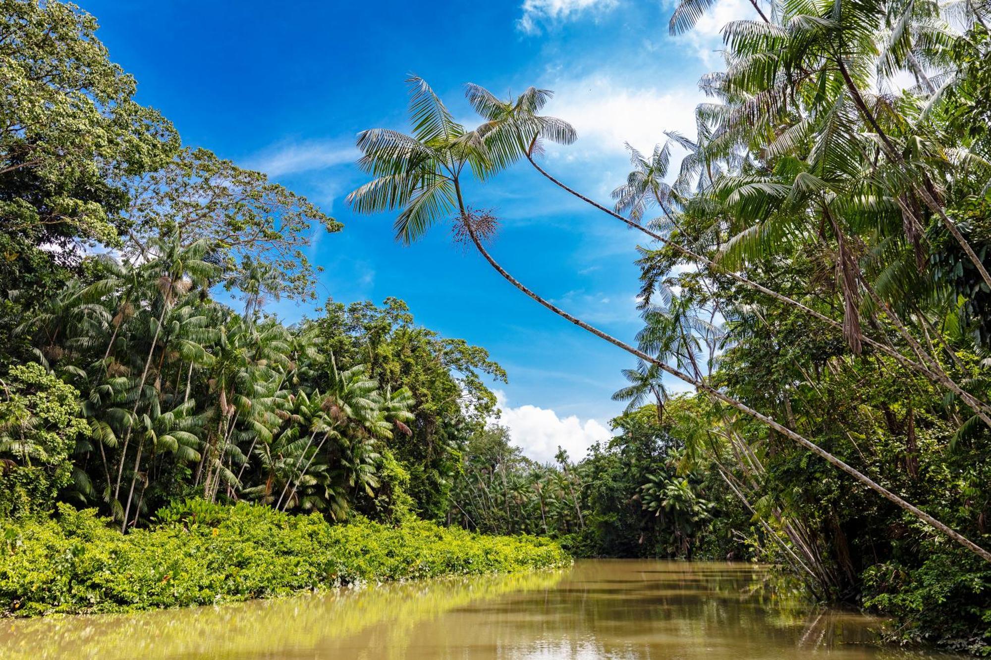 Caiman Lodge - Cuyabeno Nature Amazon Tour Εξωτερικό φωτογραφία